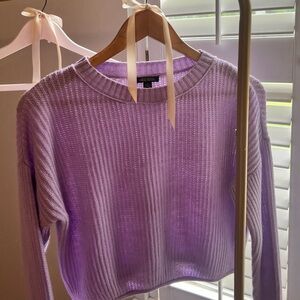 Wild Fable purple sweater